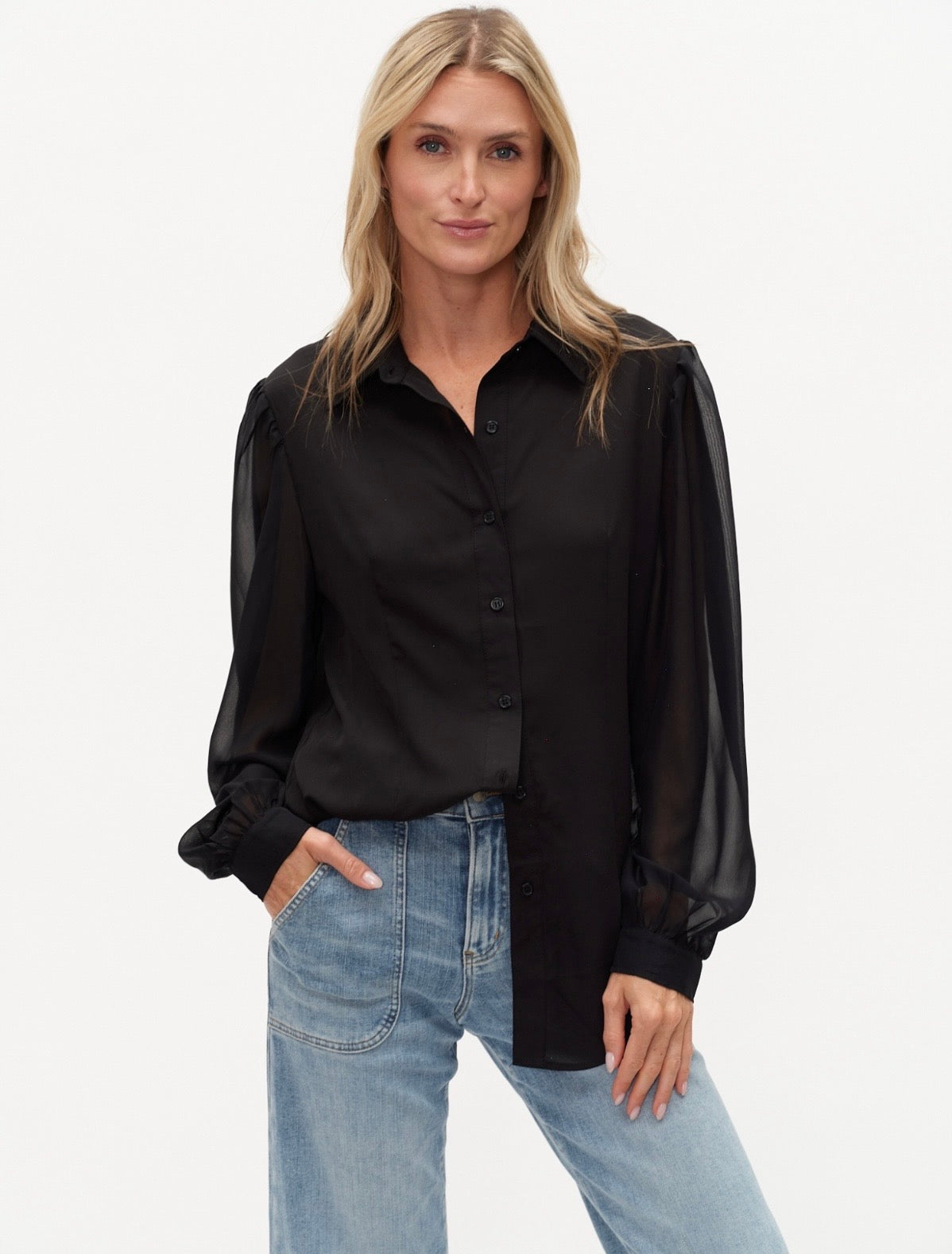 Sheer Long Sleeve Blouse
