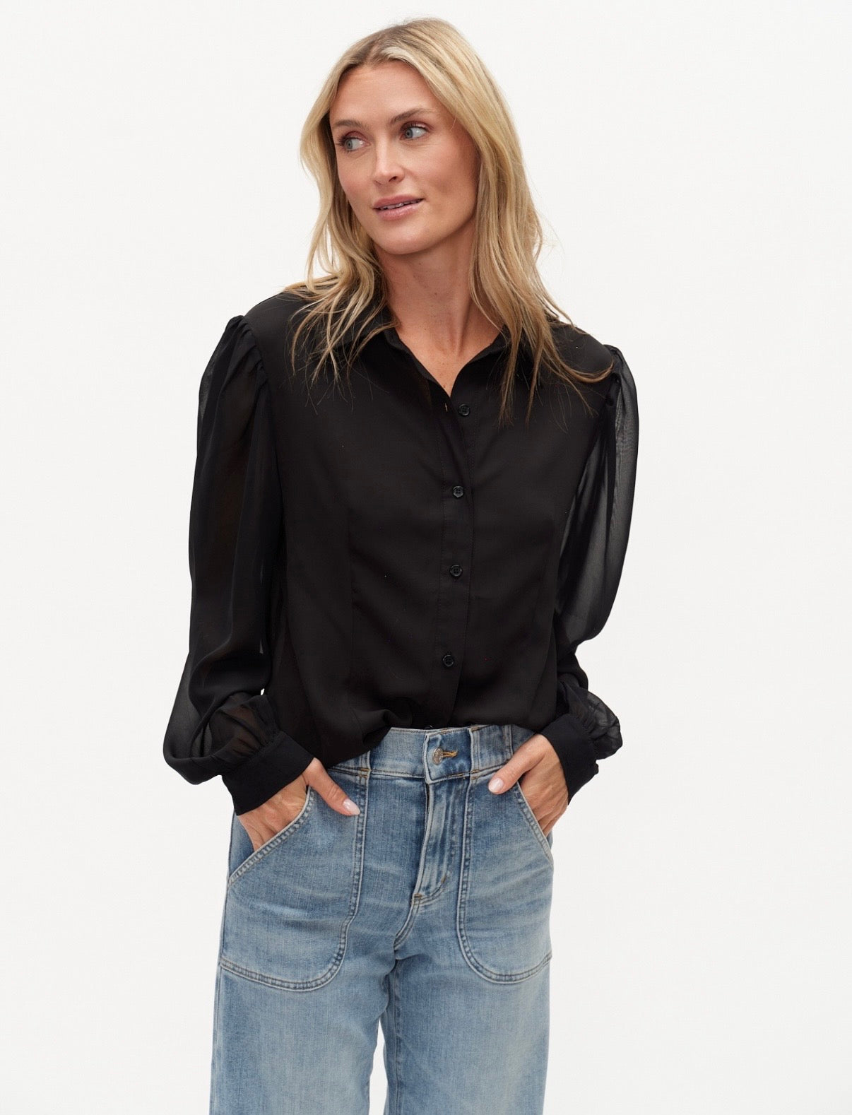 Sheer Long Sleeve Blouse
