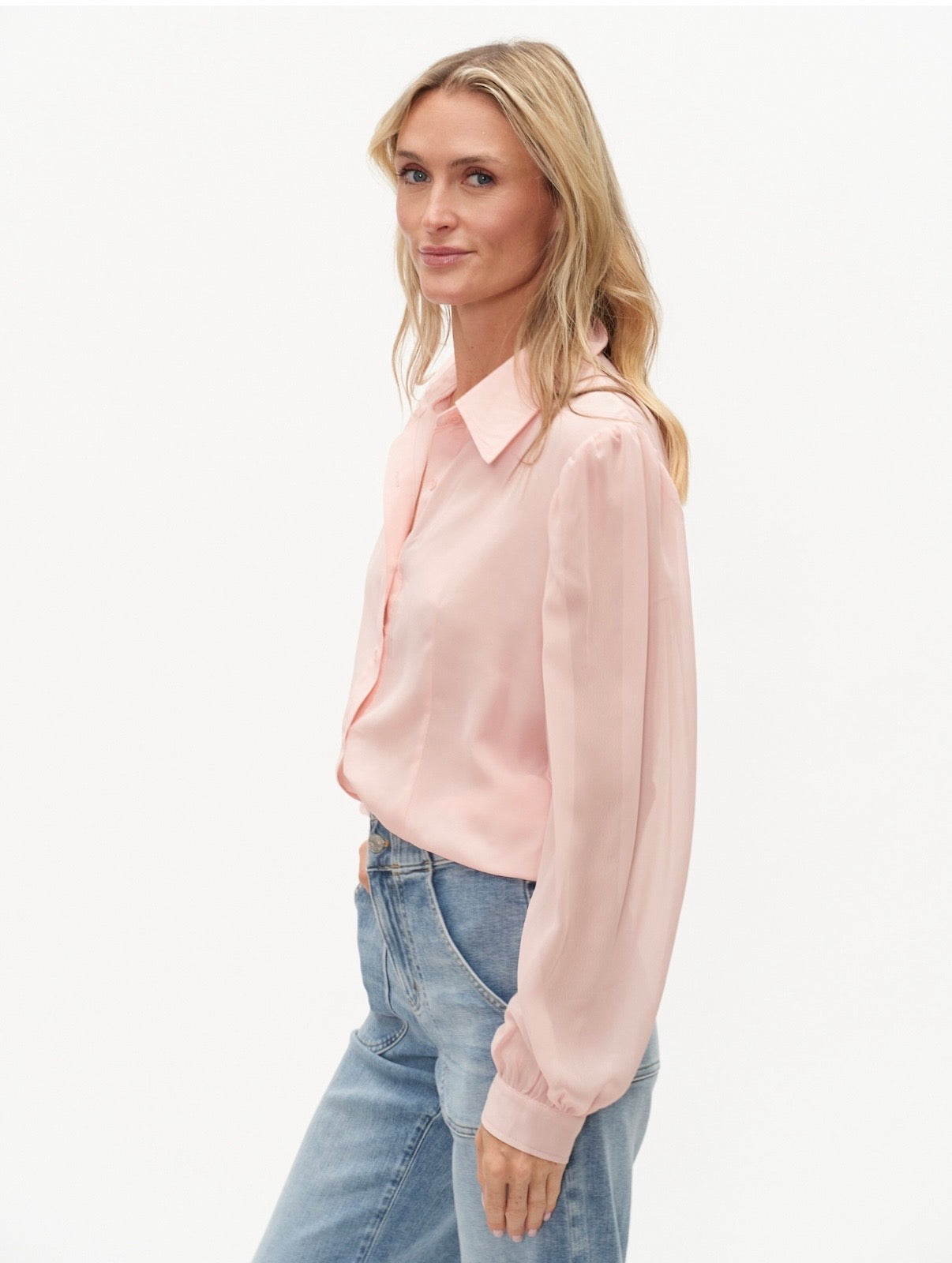 Sheer Long Sleeve Blouse