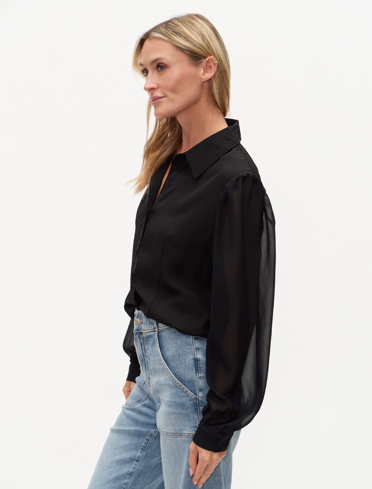 Sheer Long Sleeve Blouse